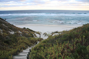 Anvil Beach Waves