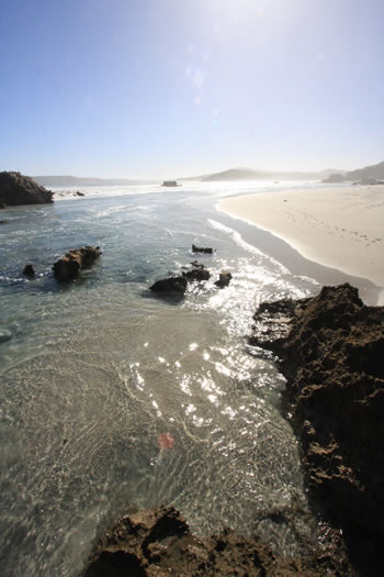 Anvil Beach in the Water