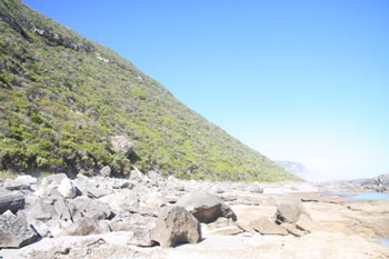 Anvil Beach Scene