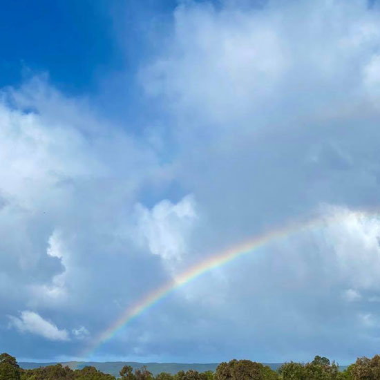 The Rainbow Coast