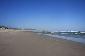 Mazoletti Beach toward Greens Pool