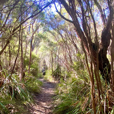 Monkey Rock Denmark WA