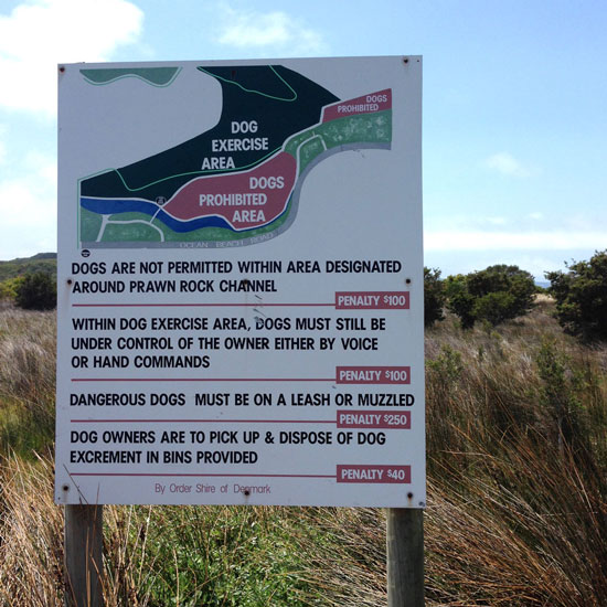 Dog Friendly Exercise Areas in Denmark WA