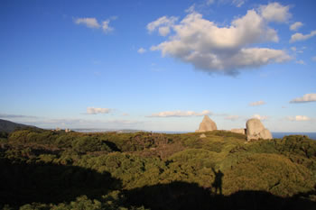 Denmark Hike