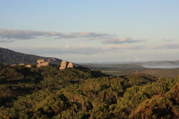 Whale Watching, Albany, WA