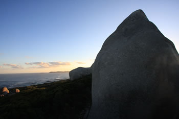 Tower Hill, William Bay NP