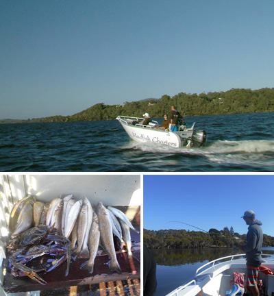 Madfish Charters